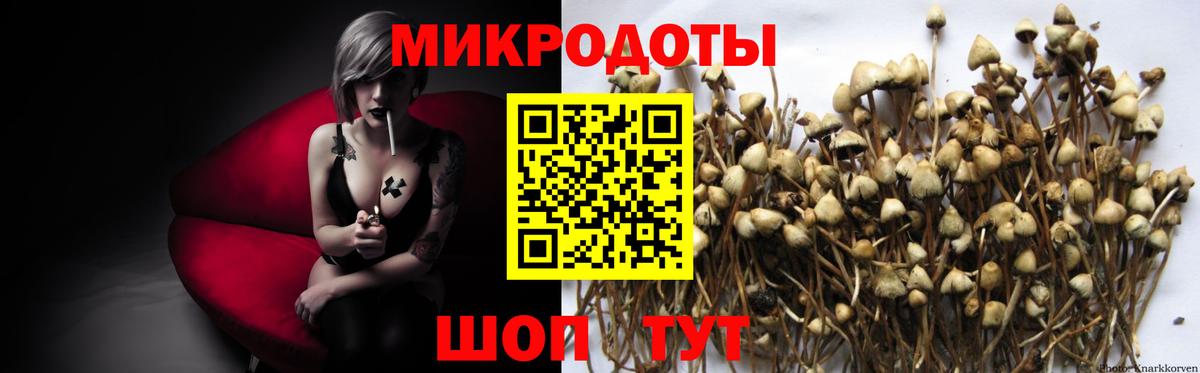 Псилоцибиновые грибы мицелий  Псилоцибиновые грибы прущие грибы  Калининград  Вход с VPN 